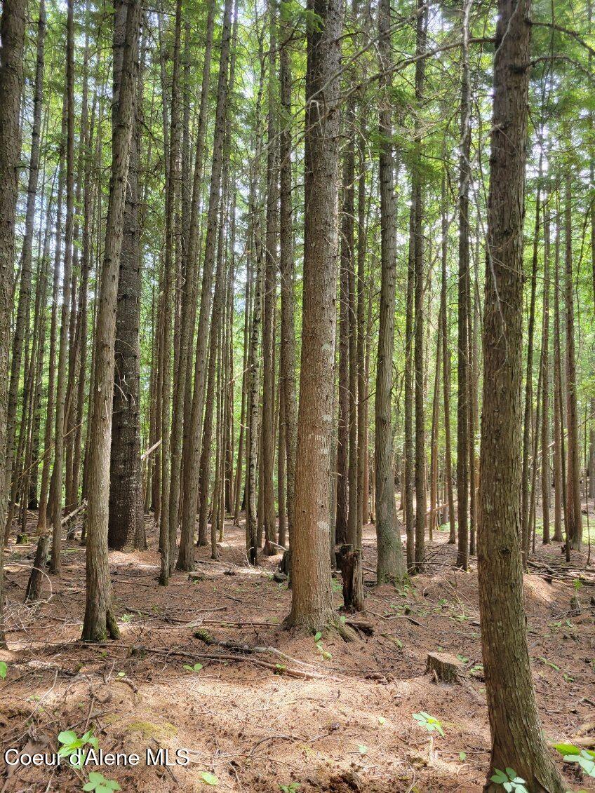 17 Christmas Lane Naples, ID 83847 - Photo 3 of 9 Brown 2