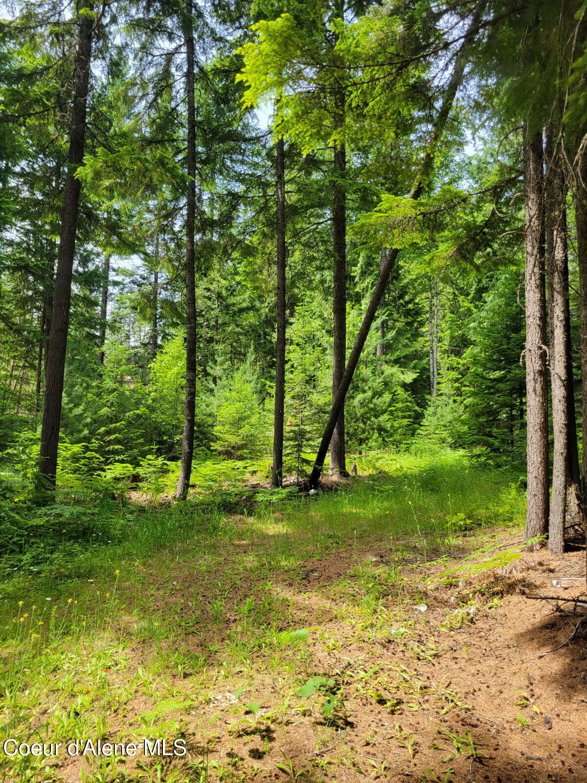 17 Christmas Lane Naples, ID 83847 - Photo 5 of 9 Brown 4