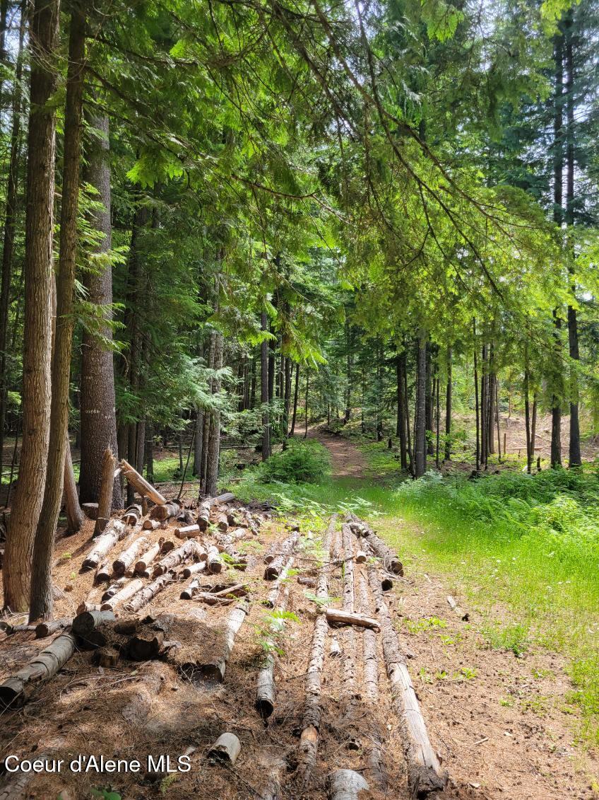 17 Christmas Lane Naples, ID 83847 - Photo 6 of 9 Brown 5