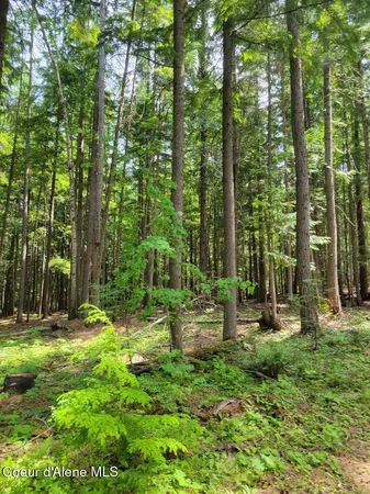 $189,000 | 17 Christmas Lane, Naples, ID 83847