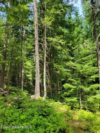 $189,000 | 17 Christmas Lane, Naples, ID 83847