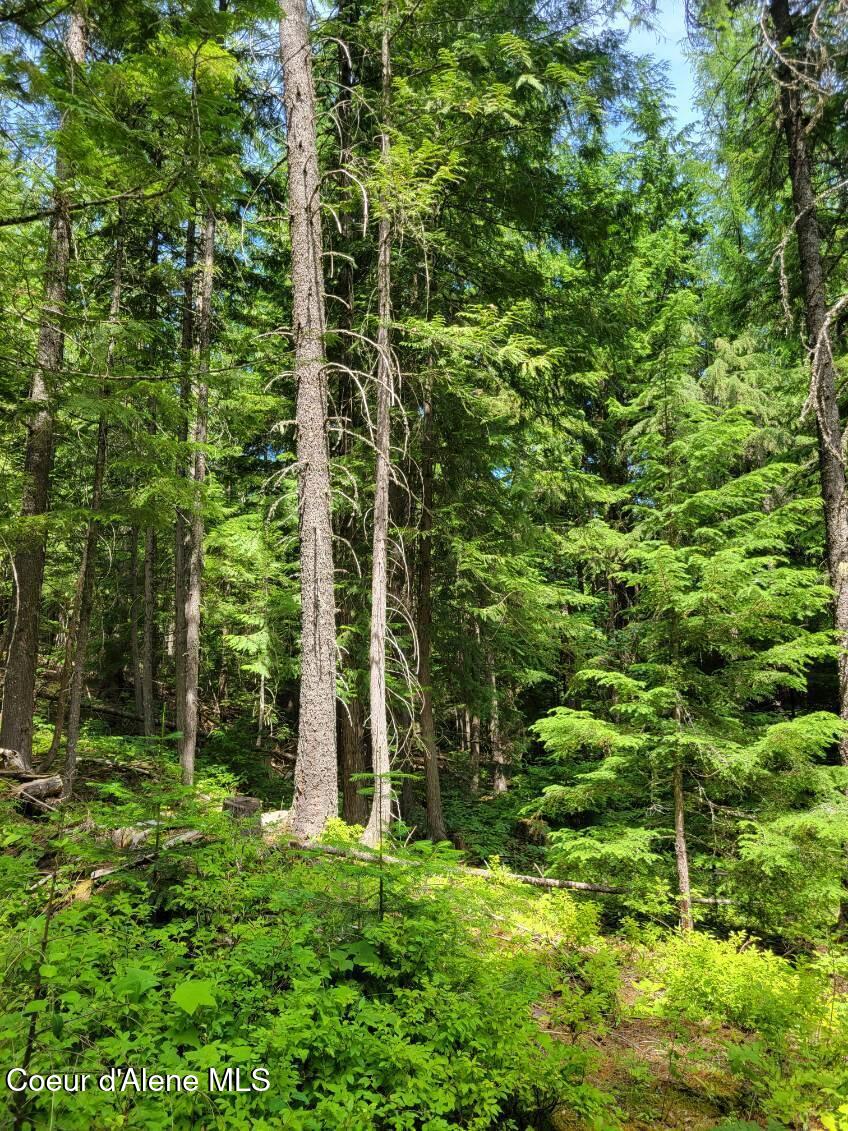 17 Christmas Lane Naples, ID 83847 - Photo 8 of 9 Brown 7