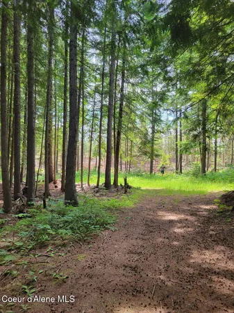 $189,000 | 17 Christmas Lane, Naples, ID 83847