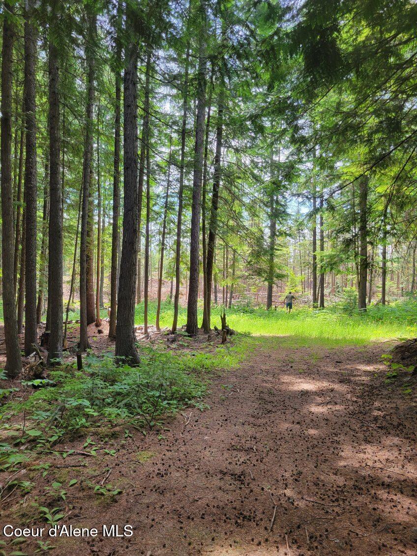 17 Christmas Lane Naples, ID 83847 - Photo 9 of 9 Brown 8
