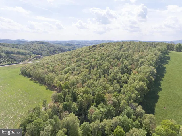 a view of a field with an ocean