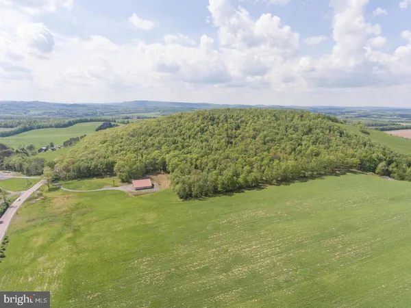 a view of a field with an ocean