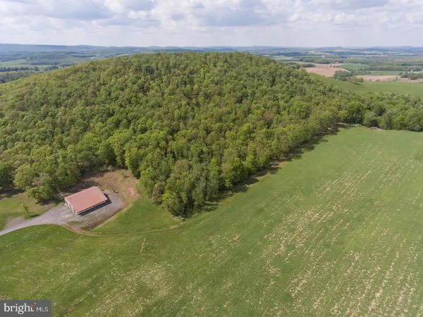 a view of a field with an ocean