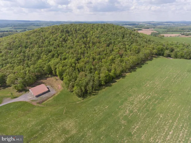 a view of a field with an ocean
