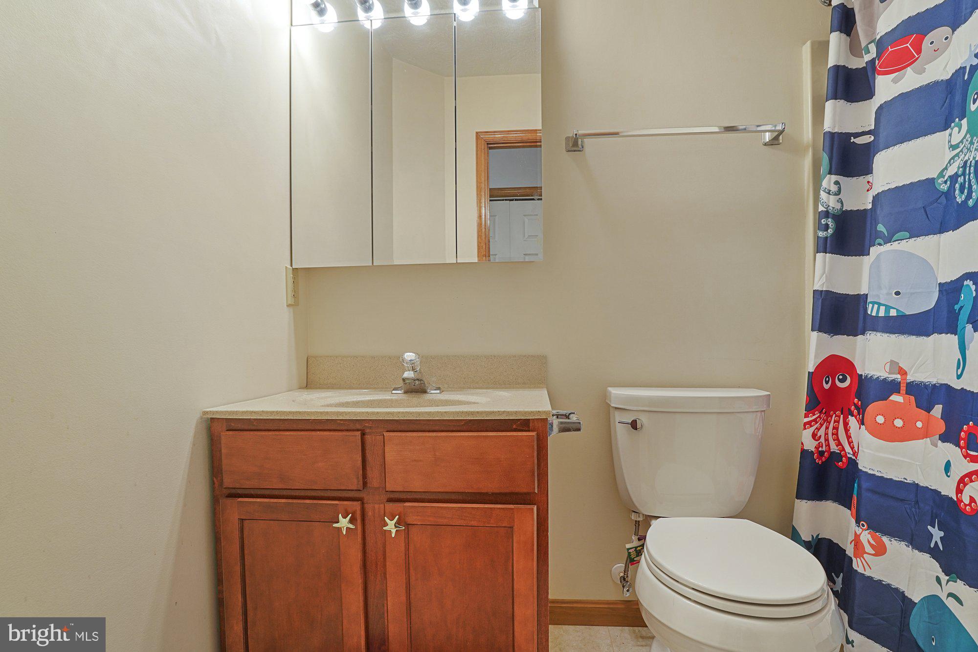 570 Conowingo Road Conowingo, MD 21918 - Photo 11 of 29 a bathroom with a granite countertop toilet sink and mirror