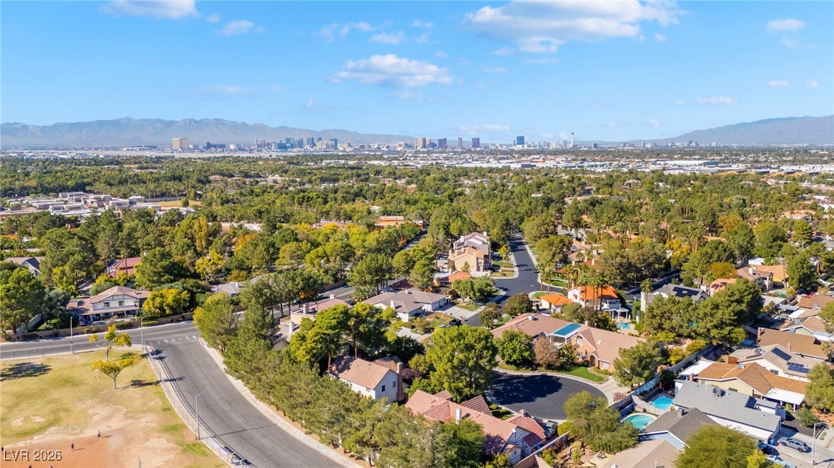 10 Pheasant Ridge Circle Henderson, NV 89014 - Photo 61 of 64