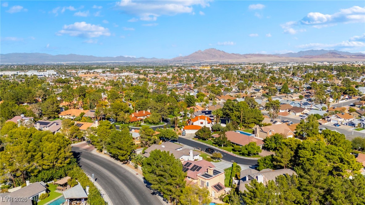 10 Pheasant Ridge Circle Henderson, NV 89014 - Photo 62 of 64