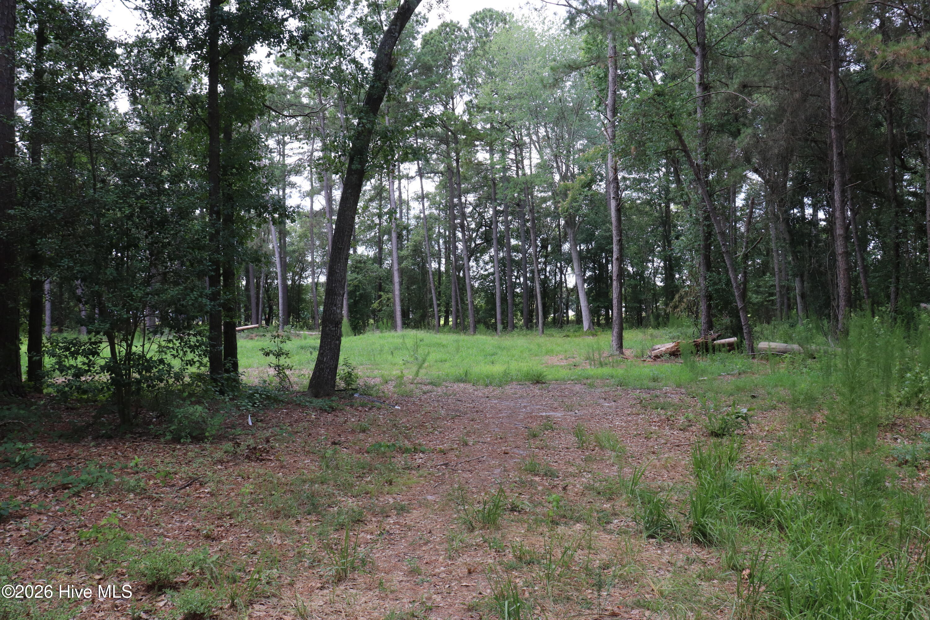 Tbd Hayne Stretch Road Roseboro, NC 28382 - Photo 7 of 31