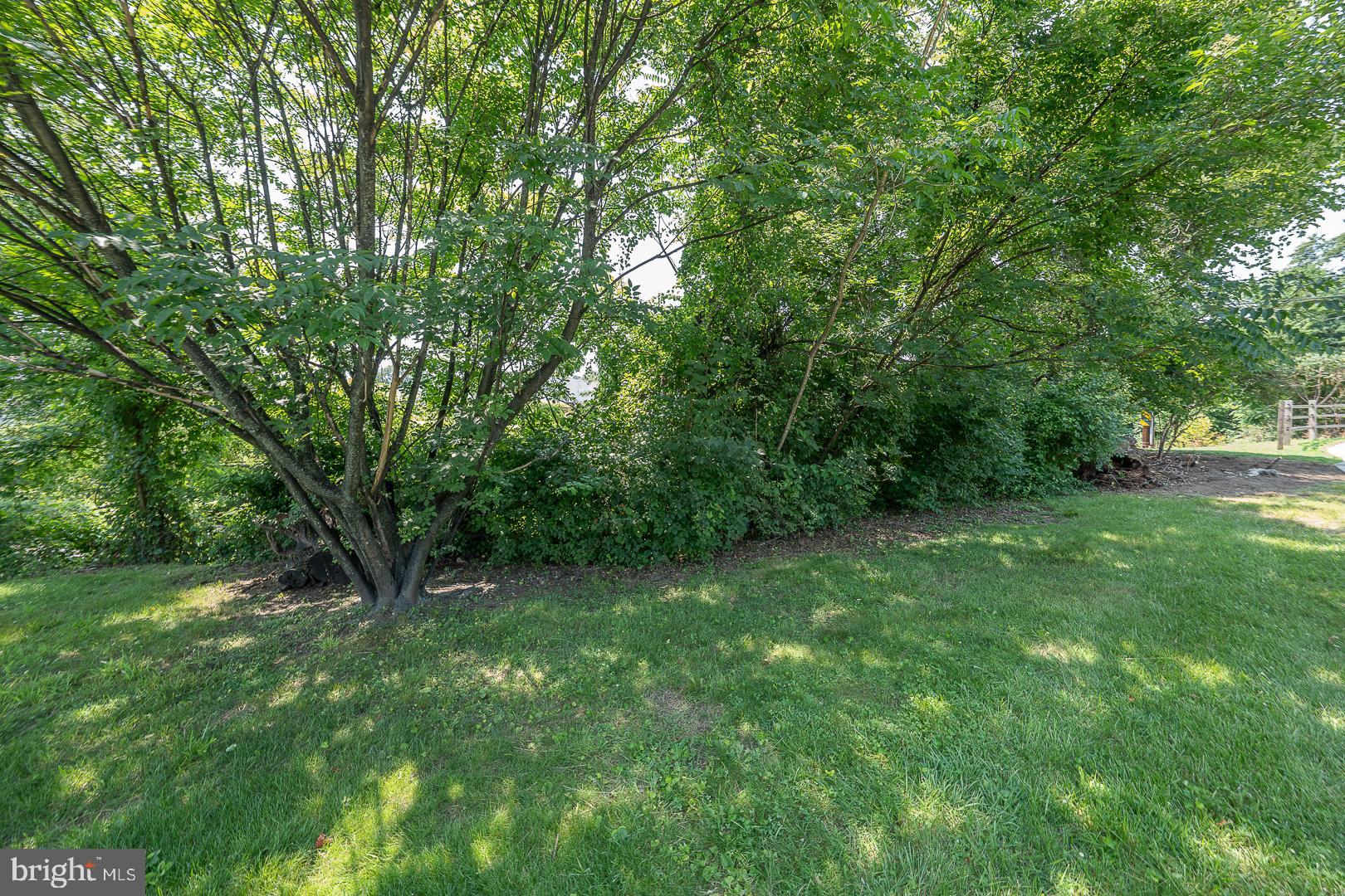 556 Shoemaker Road Elkins Park, PA 19027 - Photo 45 of 46 Gallery Image 45