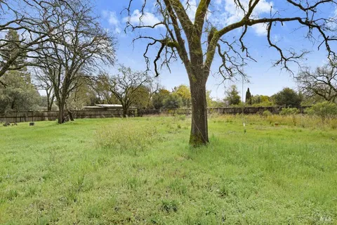 a view of backyard with tree
