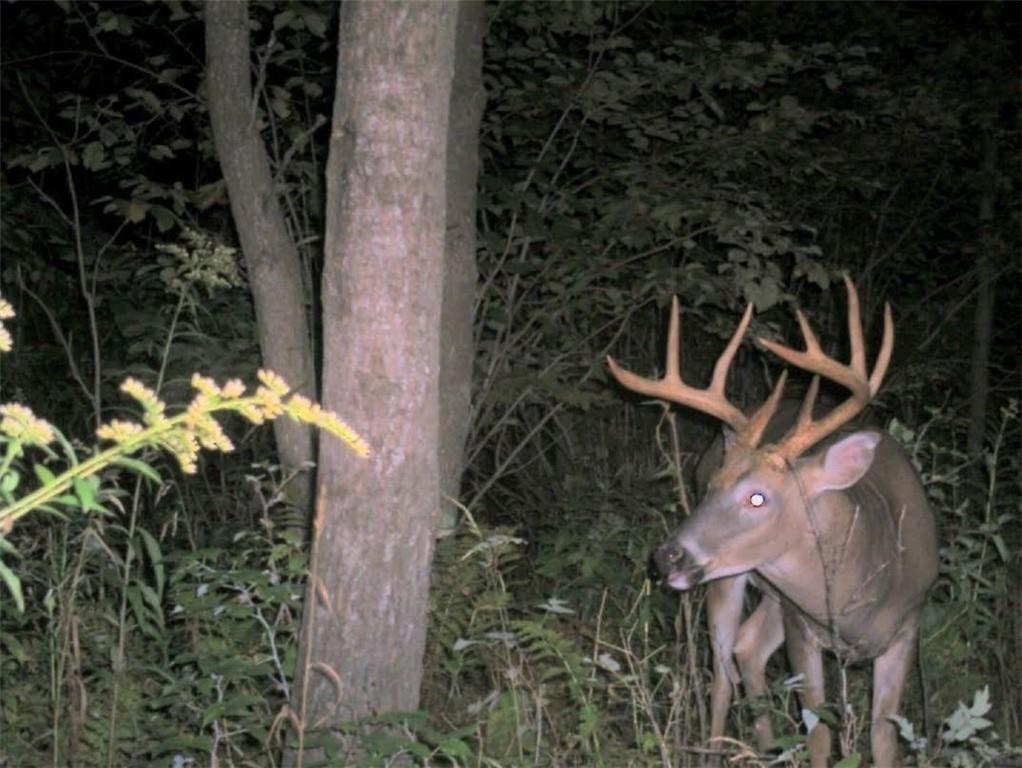 110-acres County Rd O Bruce, WI 54819 - Photo 12 of 70