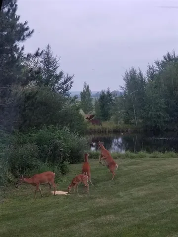 $449,000 | 110-acres County Rd O, Bruce, WI 54819