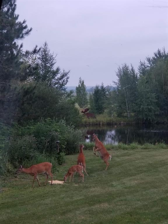 110-acres County Rd O Bruce, WI 54819 - Photo 15 of 70