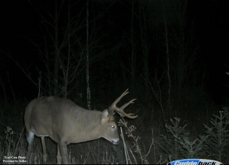 110-acres County Rd O Bruce, WI 54819 - Photo 19 of 70