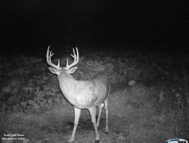 $449,000 | 110-acres County Rd O, Bruce, WI 54819