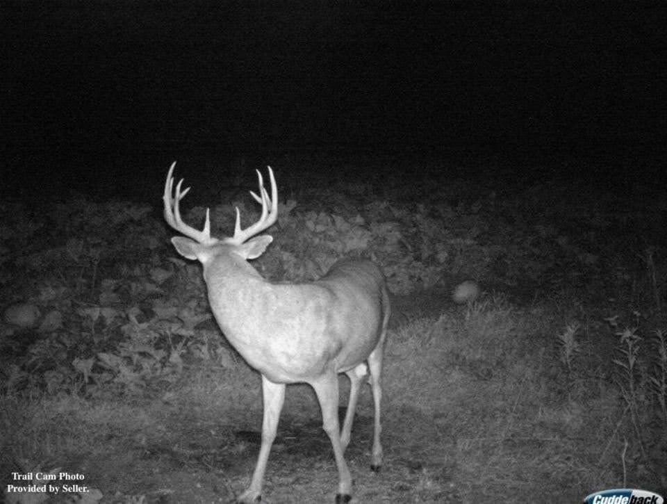 110-acres County Rd O Bruce, WI 54819 - Photo 20 of 70