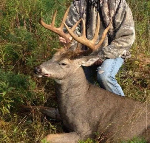 $449,000 | 110-acres County Rd O, Bruce, WI 54819