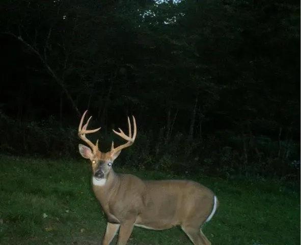 $449,000 | 110-acres County Rd O, Bruce, WI 54819