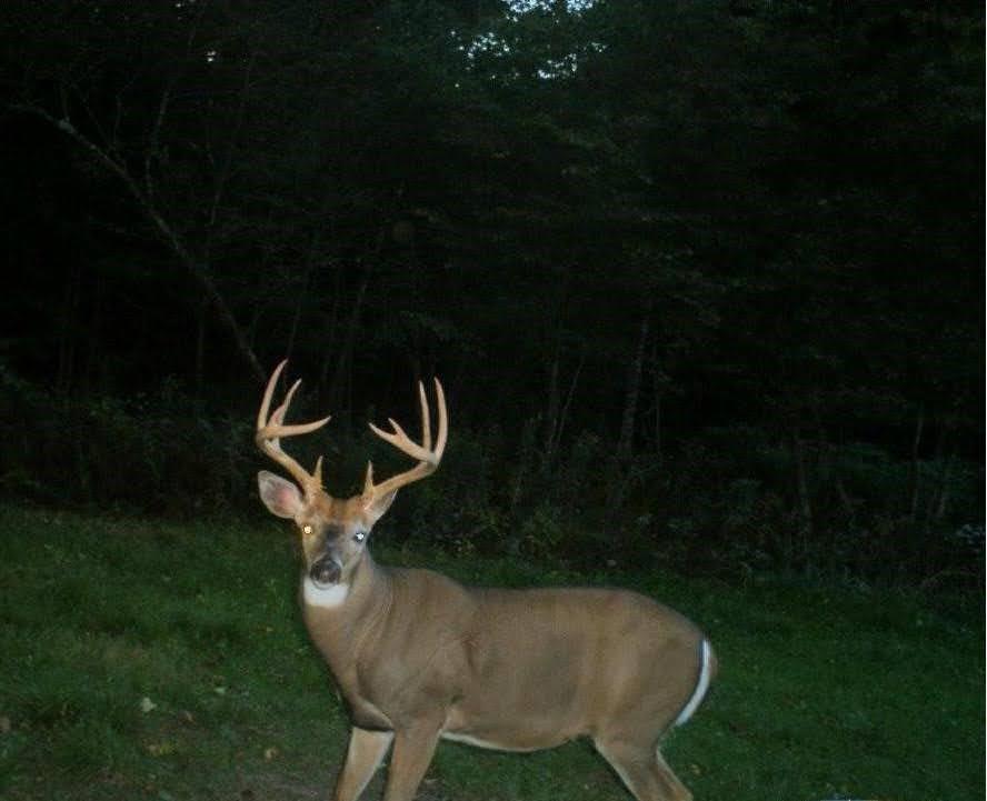110-acres County Rd O Bruce, WI 54819 - Photo 23 of 70
