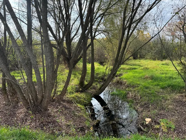 $449,000 | 110-acres County Rd O, Bruce, WI 54819