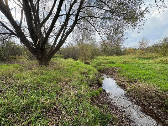 $449,000 | 110-acres County Rd O, Bruce, WI 54819