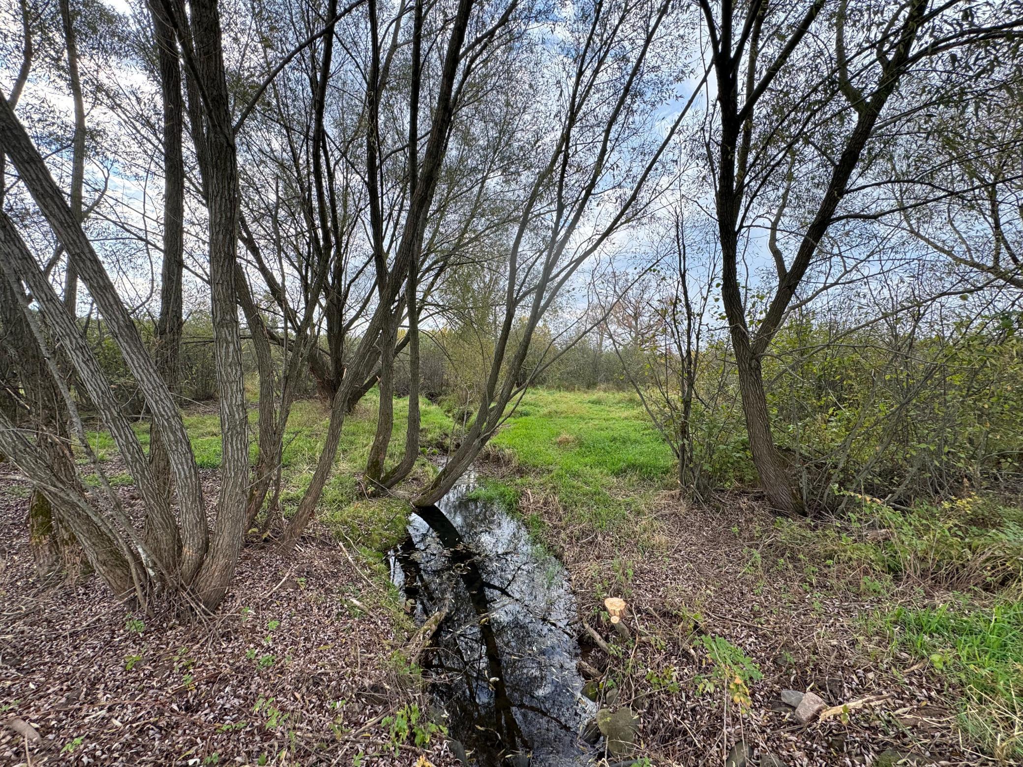 110-acres County Rd O Bruce, WI 54819 - Photo 27 of 70
