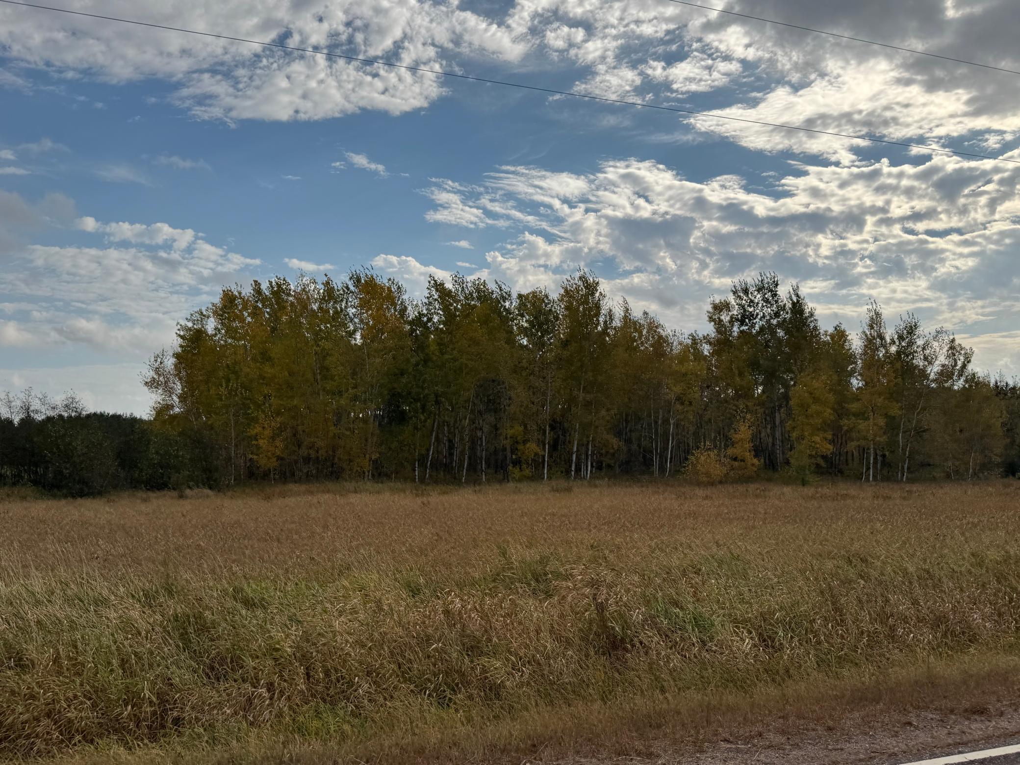 110-acres County Rd O Bruce, WI 54819 - Photo 30 of 70