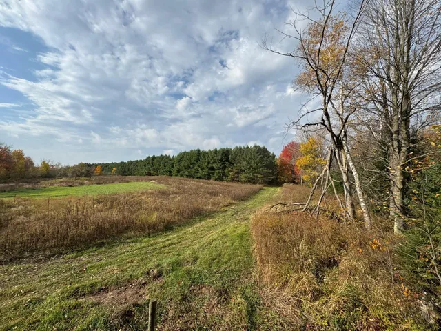$449,000 | 110-acres County Rd O, Bruce, WI 54819