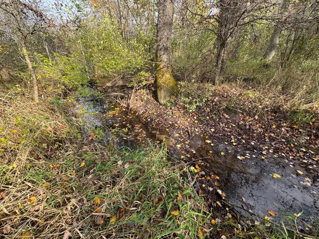 $449,000 | 110-acres County Rd O, Bruce, WI 54819