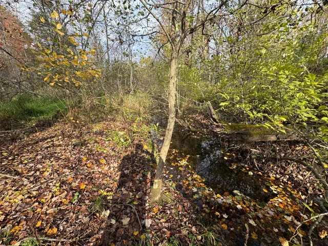 $449,000 | 110-acres County Rd O, Bruce, WI 54819