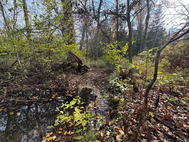 $449,000 | 110-acres County Rd O, Bruce, WI 54819