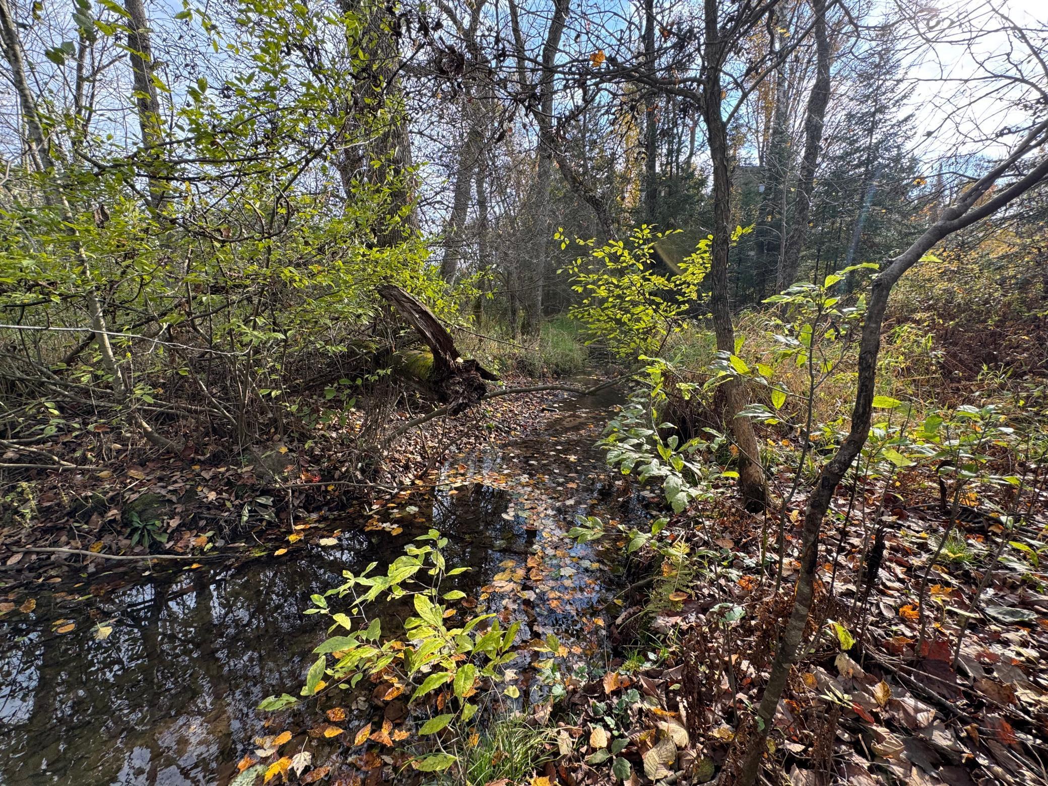 110-acres County Rd O Bruce, WI 54819 - Photo 34 of 70