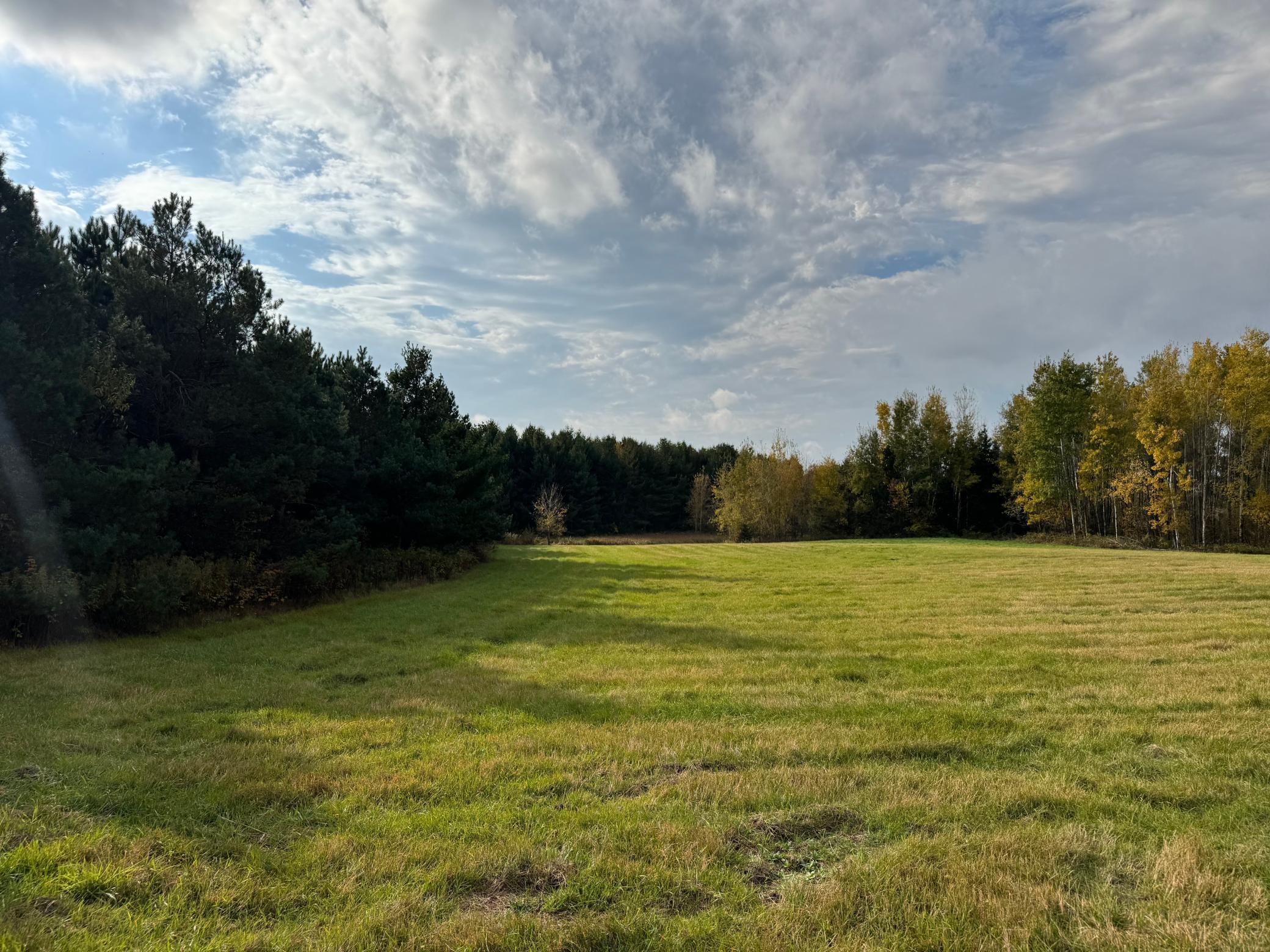 110-acres County Rd O Bruce, WI 54819 - Photo 35 of 70
