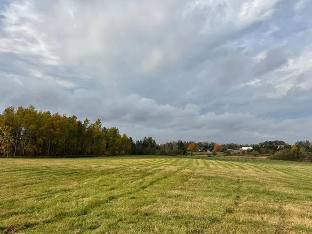 $449,000 | 110-acres County Rd O, Bruce, WI 54819