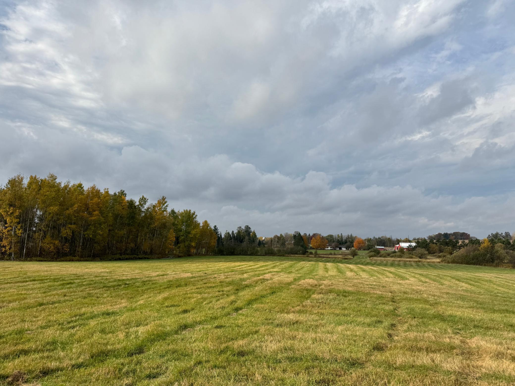110-acres County Rd O Bruce, WI 54819 - Photo 36 of 70