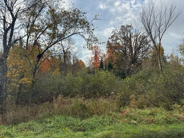 $449,000 | 110-acres County Rd O, Bruce, WI 54819