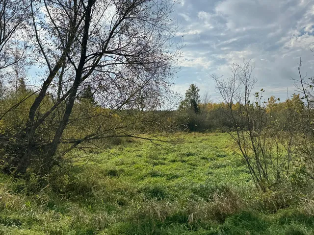 $449,000 | 110-acres County Rd O, Bruce, WI 54819
