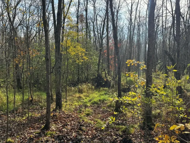 $449,000 | 110-acres County Rd O, Bruce, WI 54819