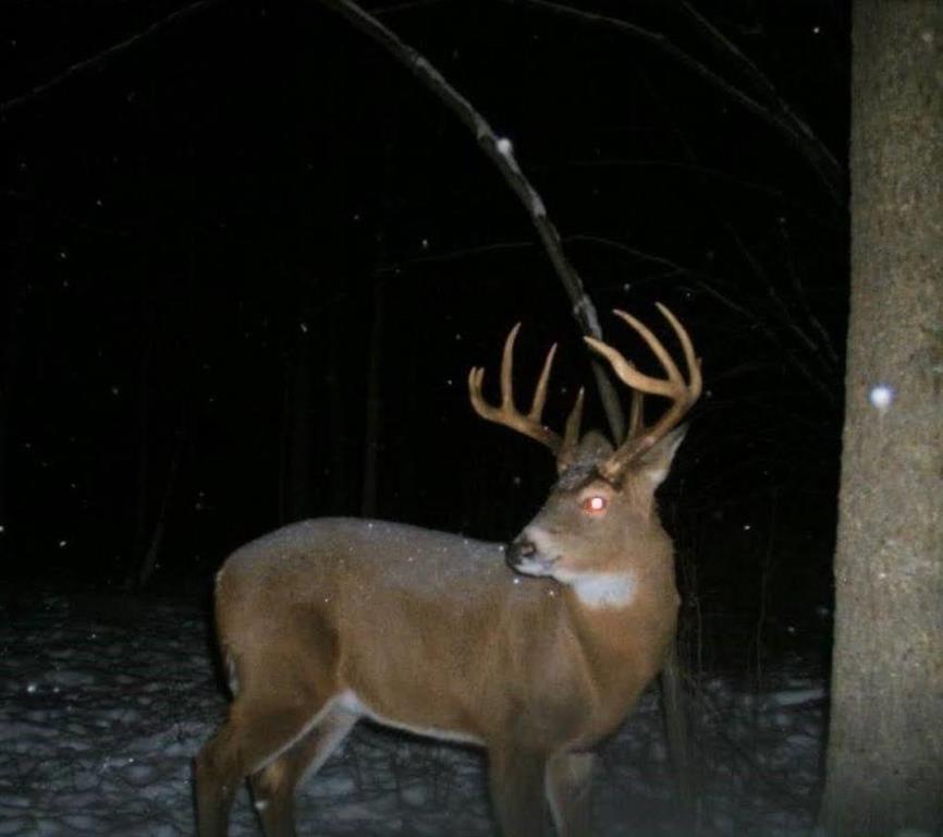 110-acres County Rd O Bruce, WI 54819 - Photo 4 of 70