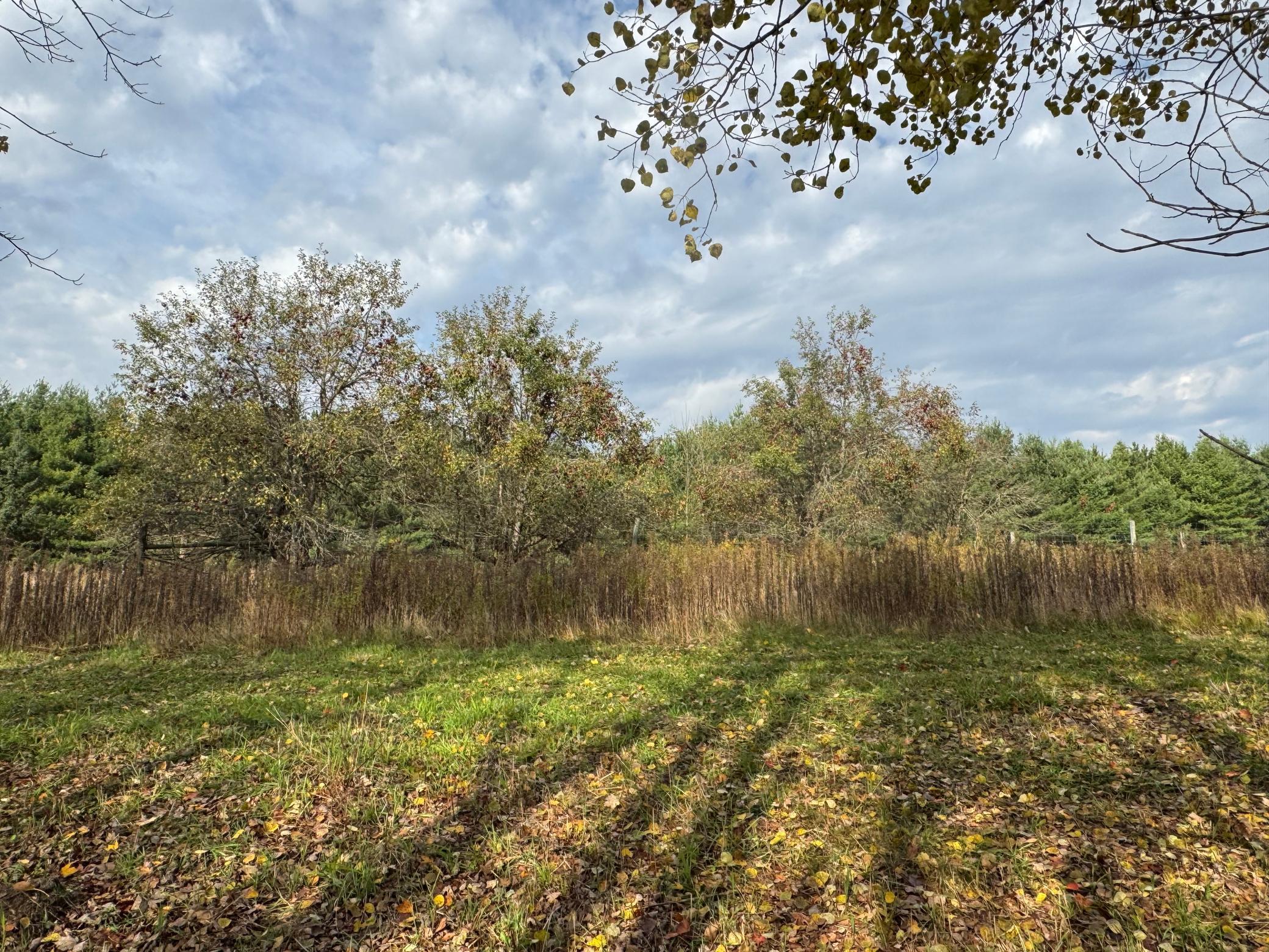 110-acres County Rd O Bruce, WI 54819 - Photo 41 of 70