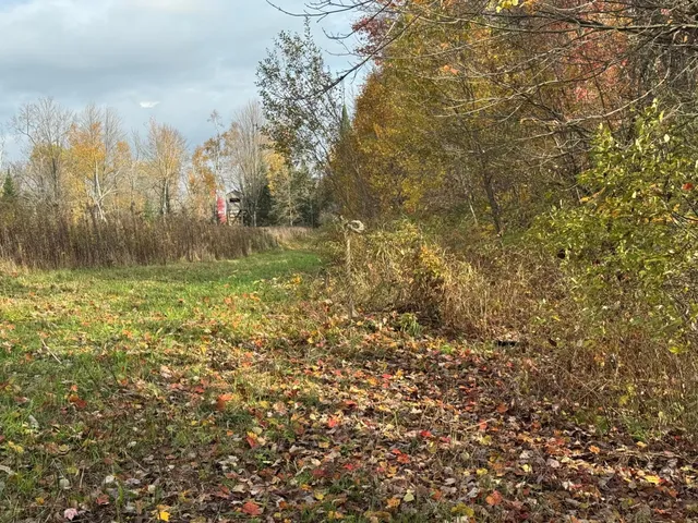 $449,000 | 110-acres County Rd O, Bruce, WI 54819