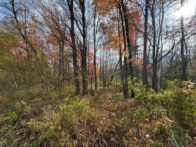 $449,000 | 110-acres County Rd O, Bruce, WI 54819