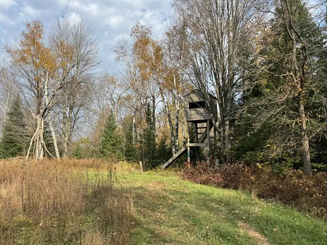 $449,000 | 110-acres County Rd O, Bruce, WI 54819