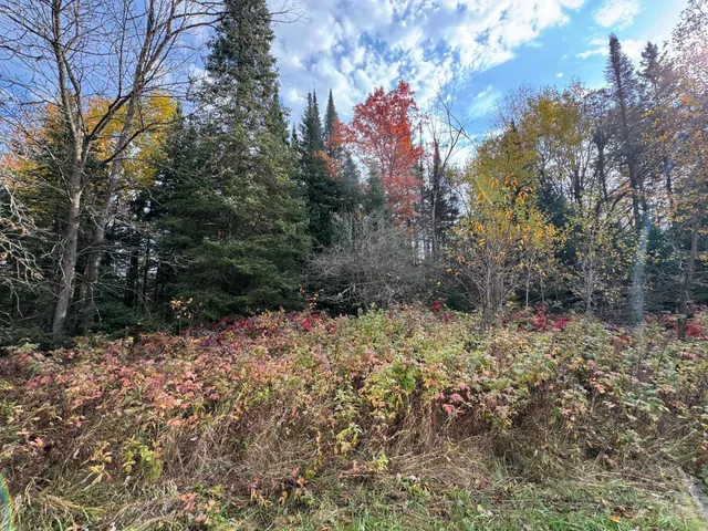 $449,000 | 110-acres County Rd O, Bruce, WI 54819