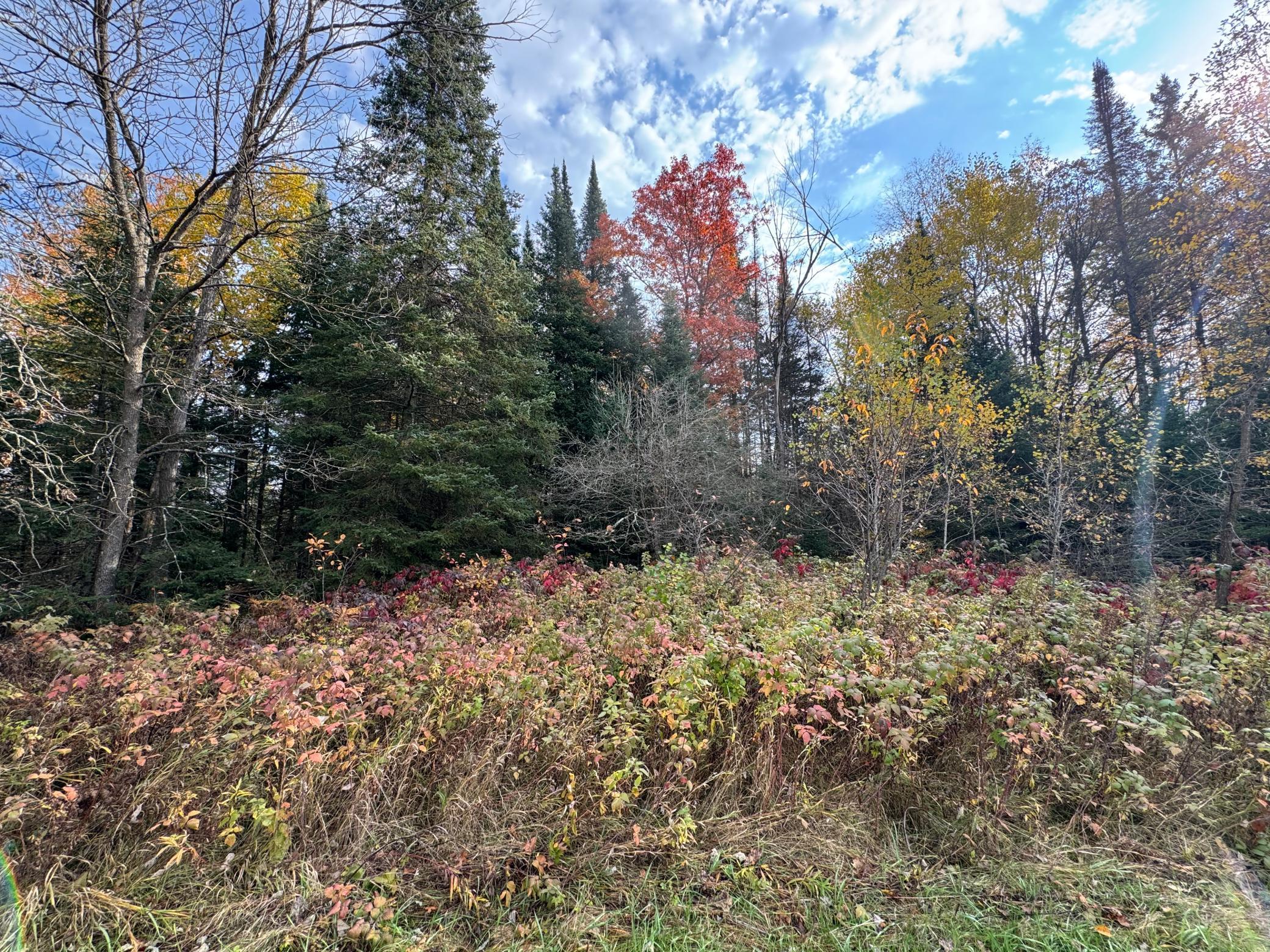 110-acres County Rd O Bruce, WI 54819 - Photo 45 of 70