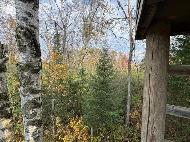 $449,000 | 110-acres County Rd O, Bruce, WI 54819